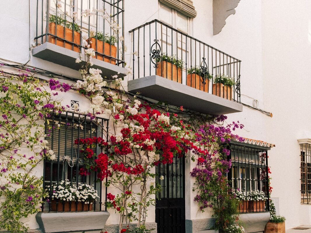 Tras las Murallas de Marbella